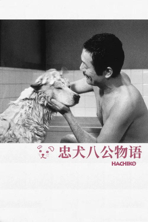 忠犬八公物语海报