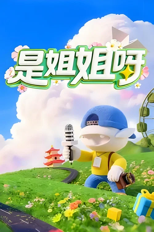 是姐姐呀海报