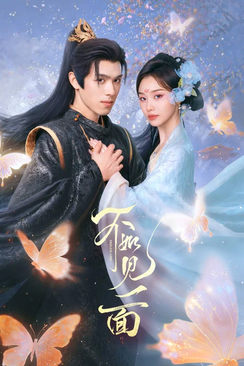 不如见一面海报