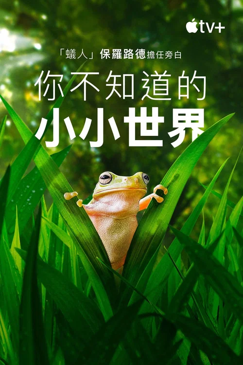 小小世界（中文版）海报