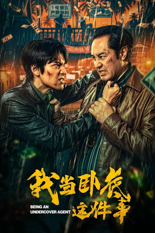 我当卧底这件事海报
