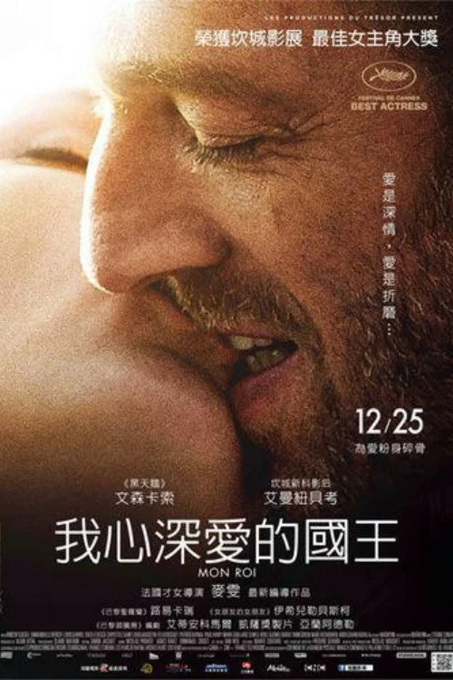 我的国王海报