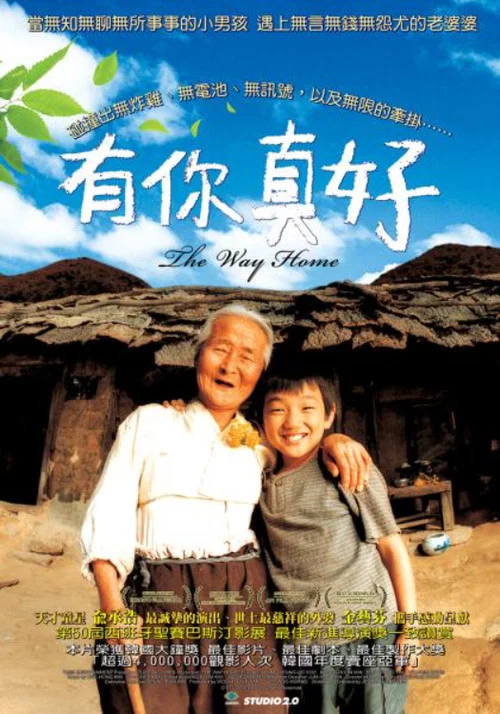 爱·回家海报
