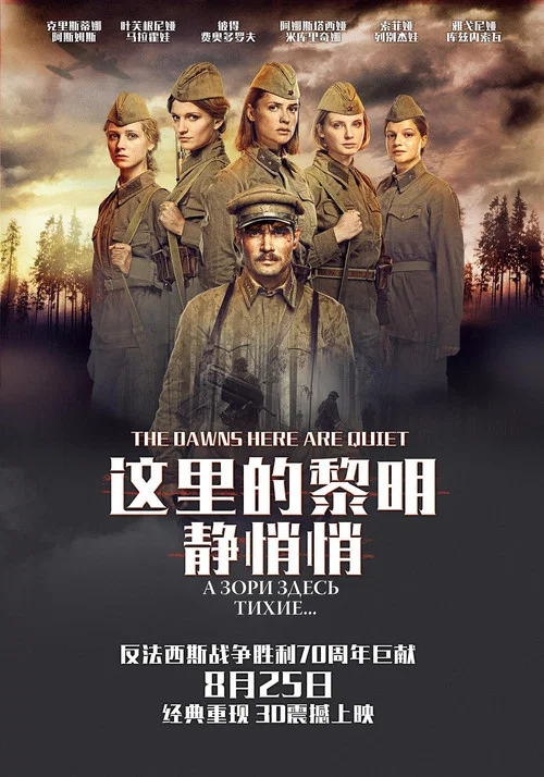 这里的黎明静悄悄海报