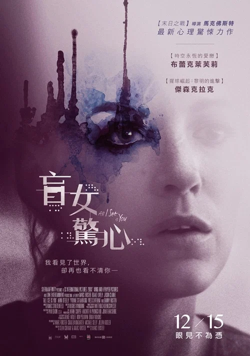 我所看到的都是你海报