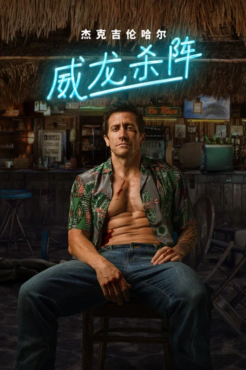 新威龙杀阵海报