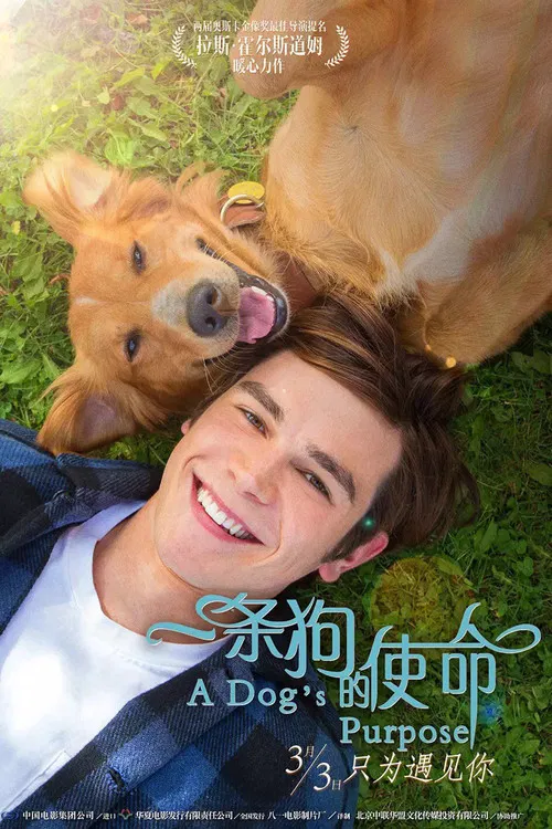 一条狗的使命海报