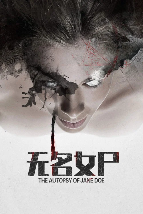 无名女尸海报