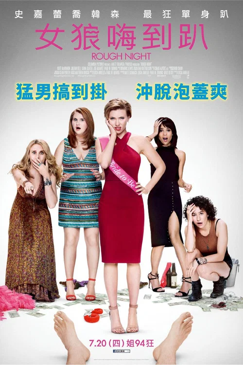 仓皇一夜海报