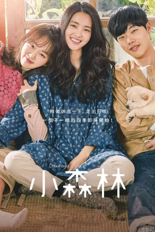 小森林海报