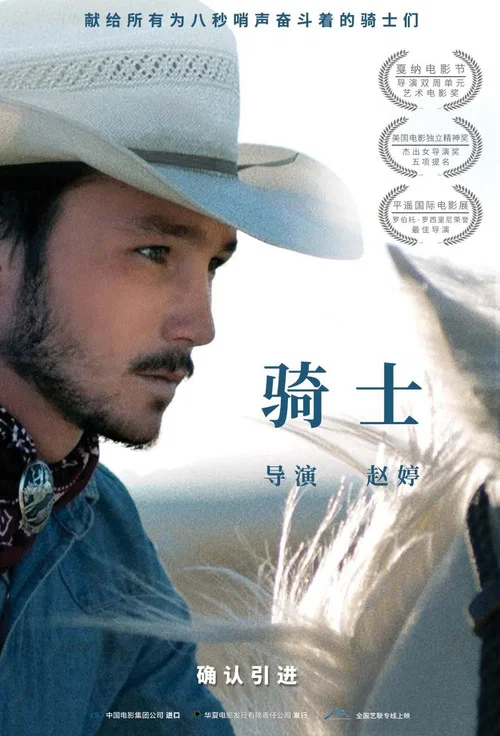 骑士海报