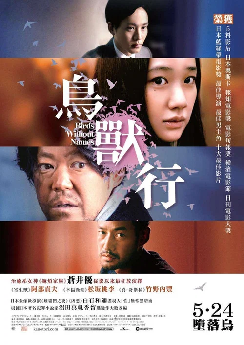 她不知道名字的那些鸟儿海报