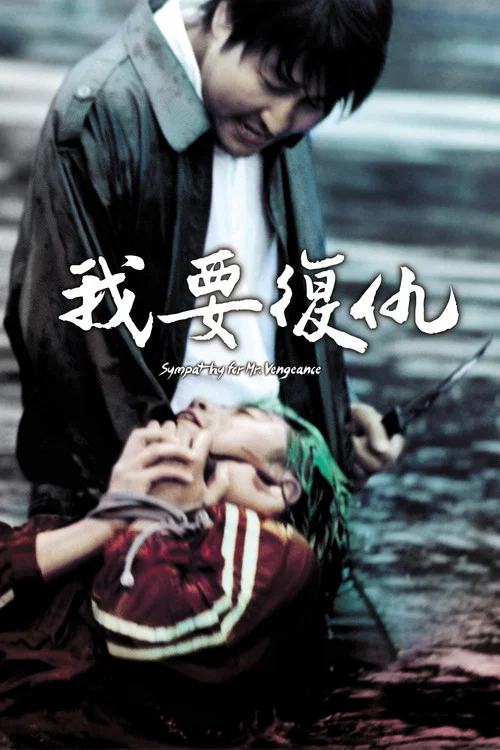 我要复仇海报