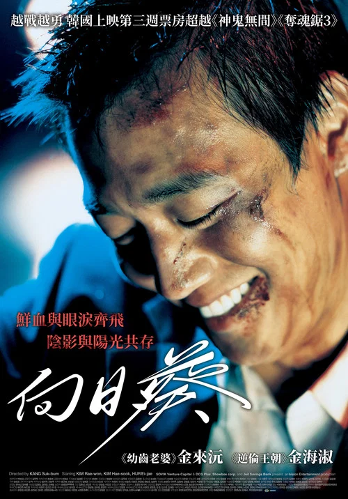 向日葵海报