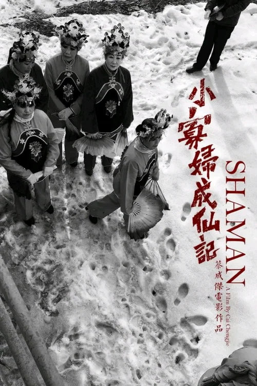 北方一片苍茫海报