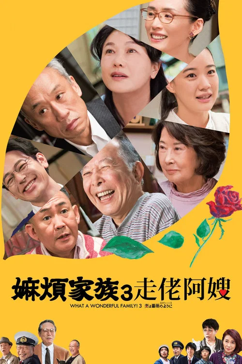 家族之苦3：薔薇之妻海报