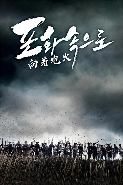 向着炮火海报