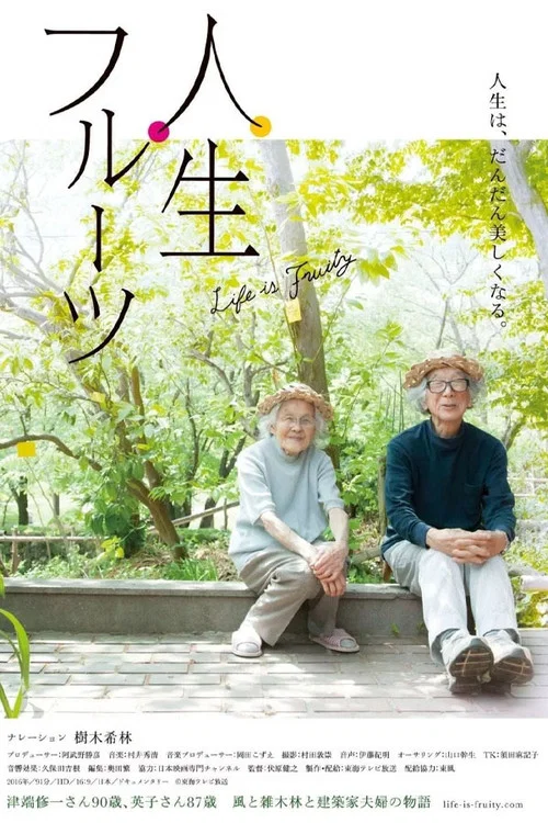 人生果实海报