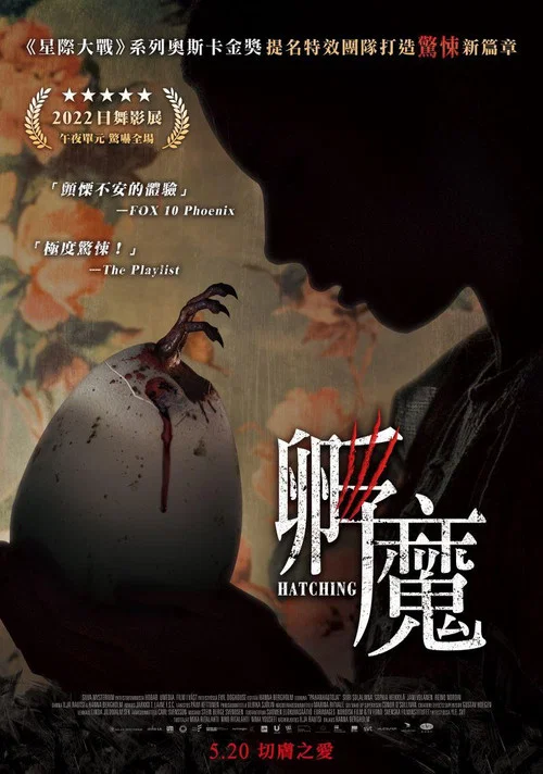 孵化海报