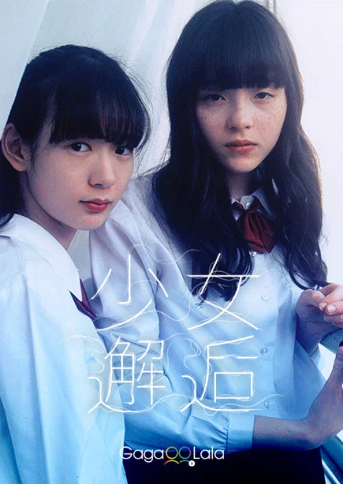 少女邂逅海报