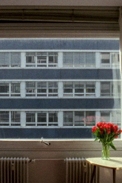 21,3 °C海报