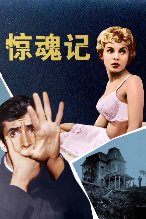 惊魂记海报