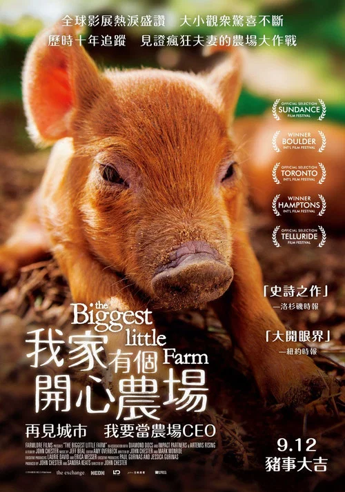 最大的小小农场海报