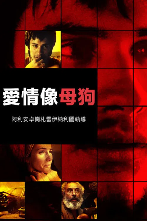爱情是狗娘海报