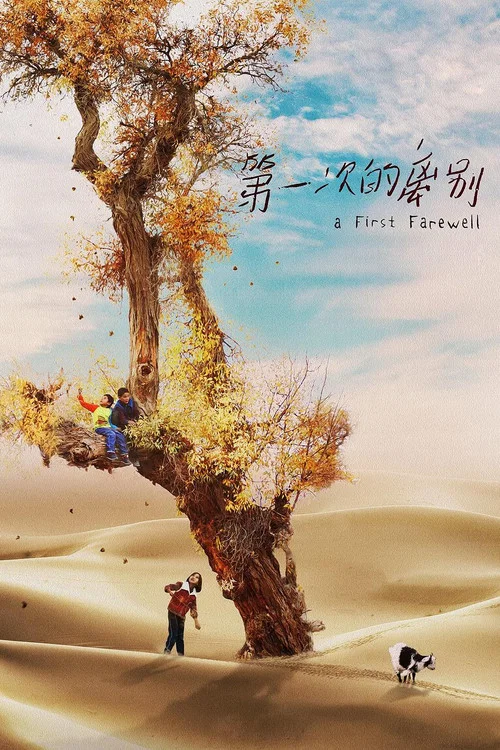 第一次的离别海报
