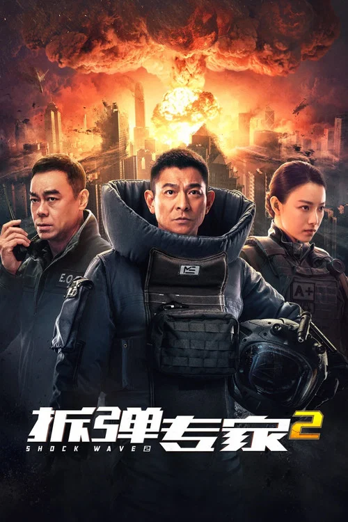 拆弹专家2海报