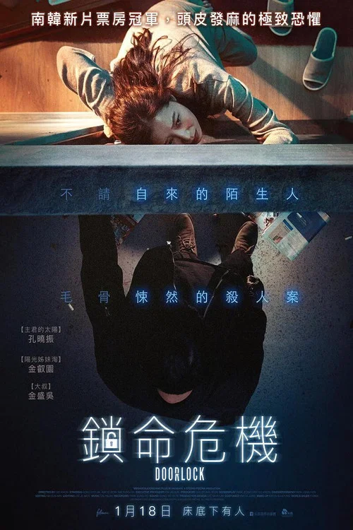 门锁海报