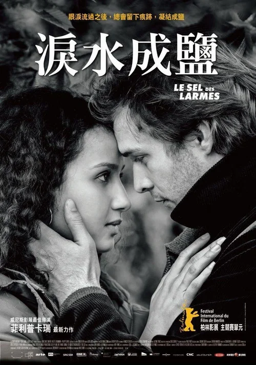 眼泪之盐海报