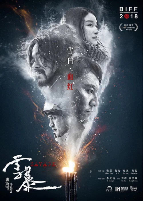 雪暴海报
