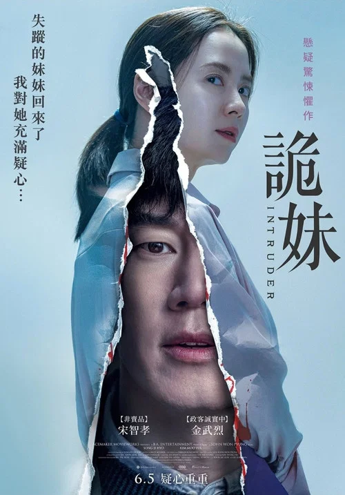 侵入者海报