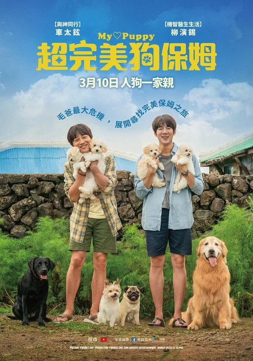 小狗小心肝海报