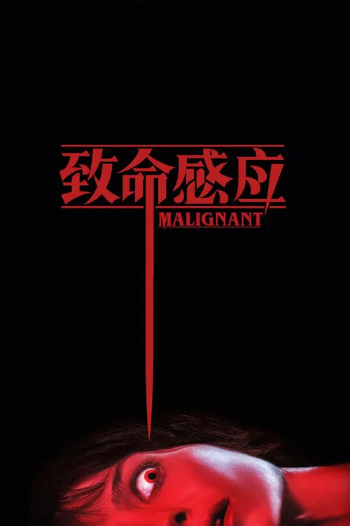 致命感应海报
