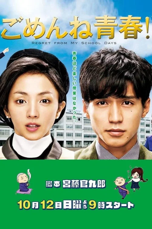 对不起青春海报