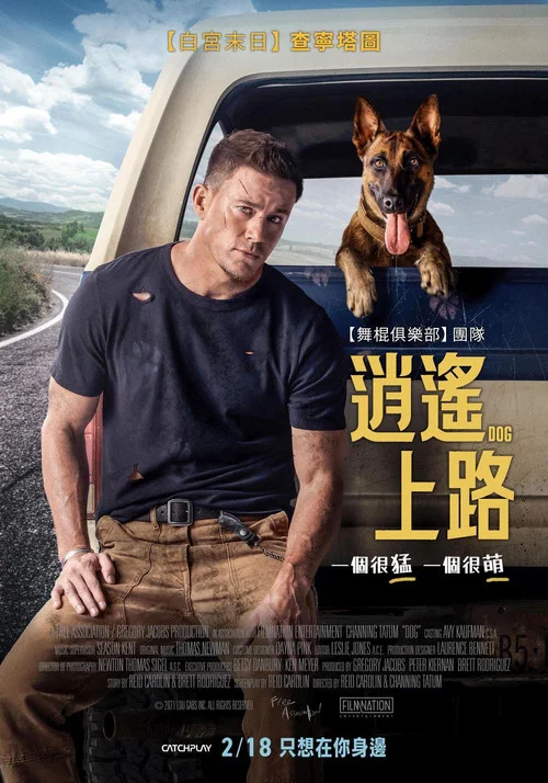 忠犬海报