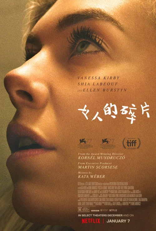 女人的碎片海报