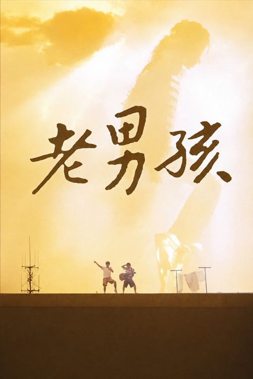 11度青春之老男孩海报
