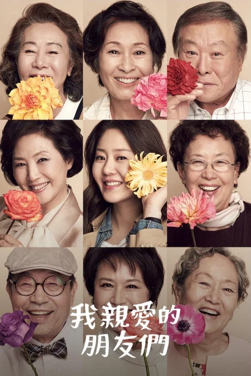 我亲爱的朋友们海报
