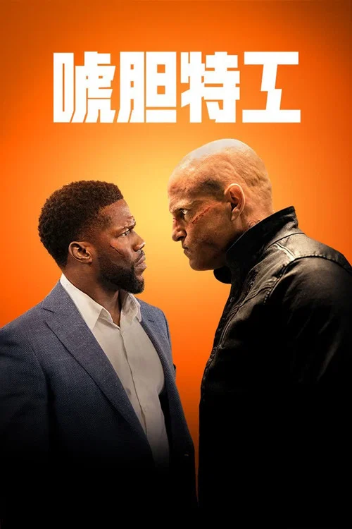 唬胆特工海报