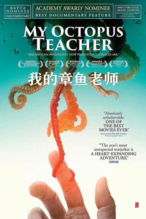 我的章鱼老师海报