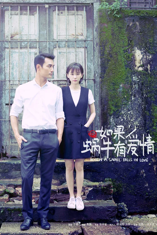 如果蜗牛有爱情海报