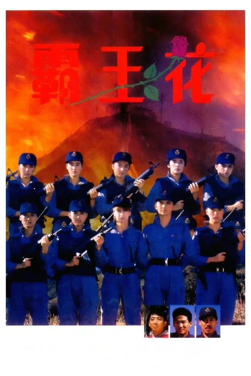 霸王花海报