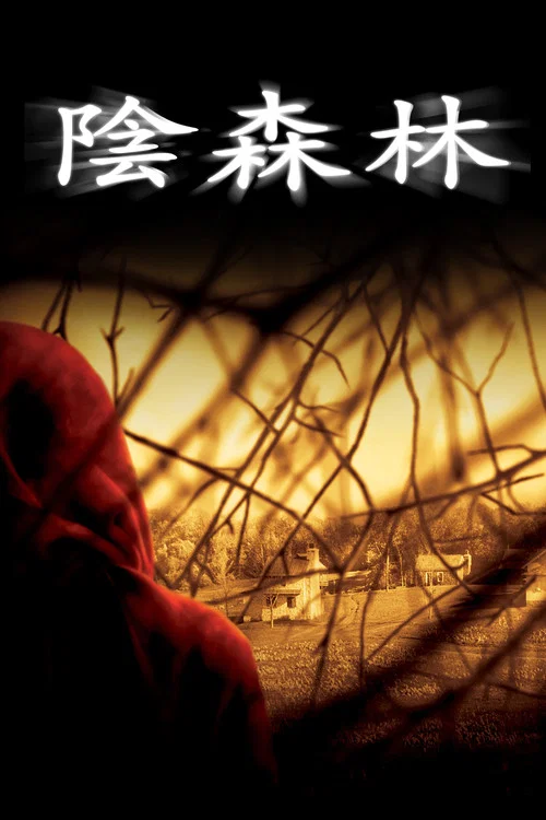 神秘村海报