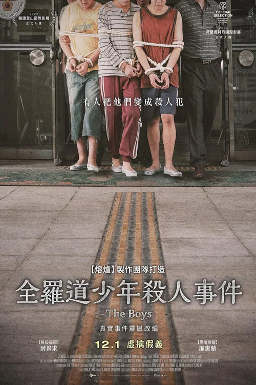 少年们海报