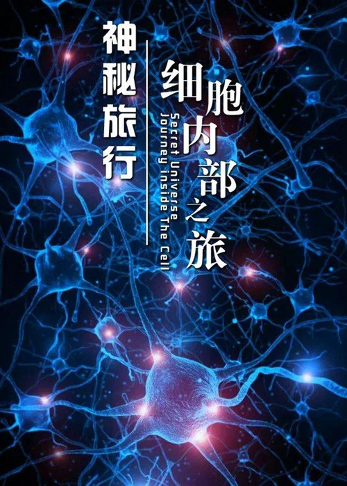 神秘旅行：细胞内部之旅海报