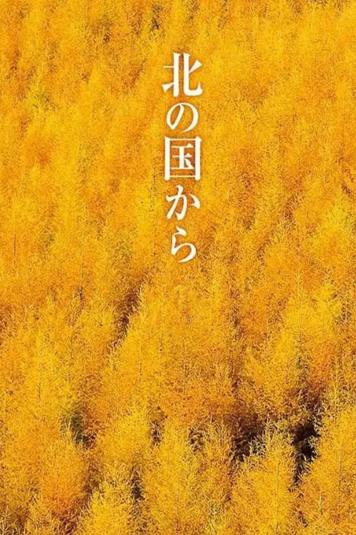 北国之恋海报