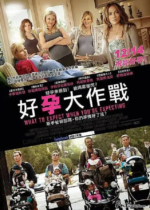 孕期完全指导海报